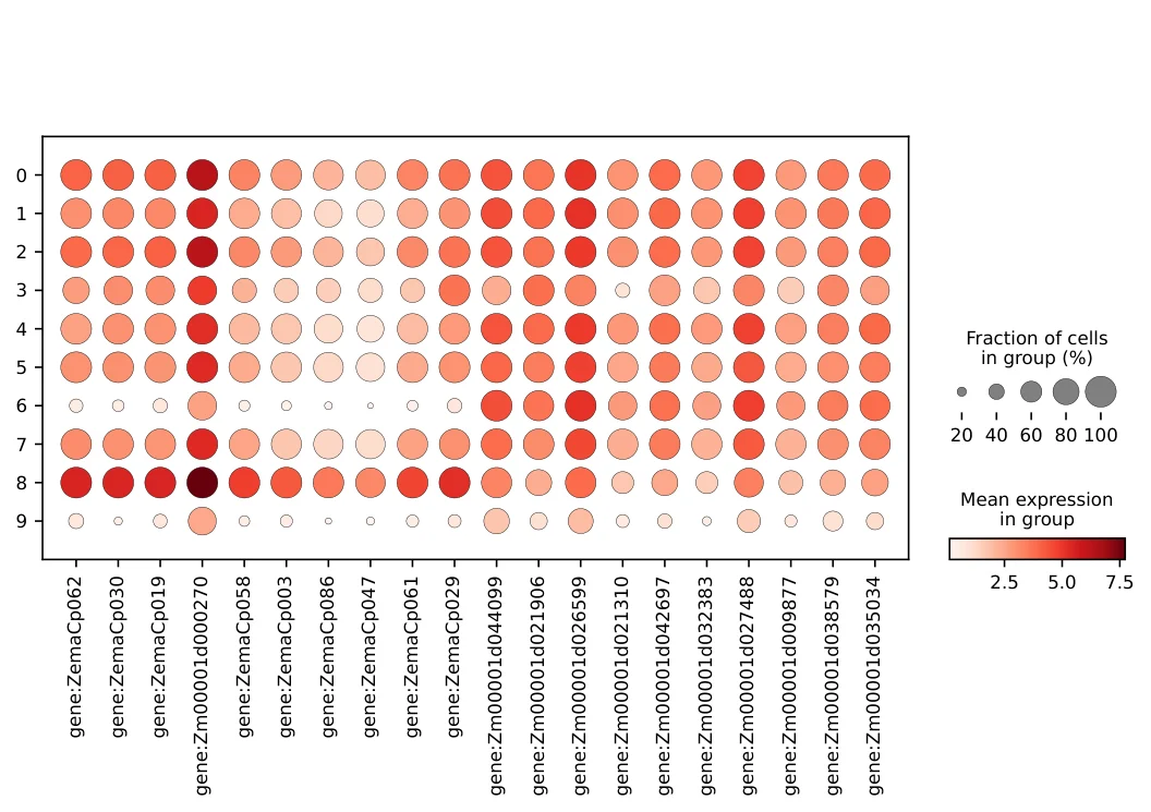 富集分析 dotplot（真实任务产物）